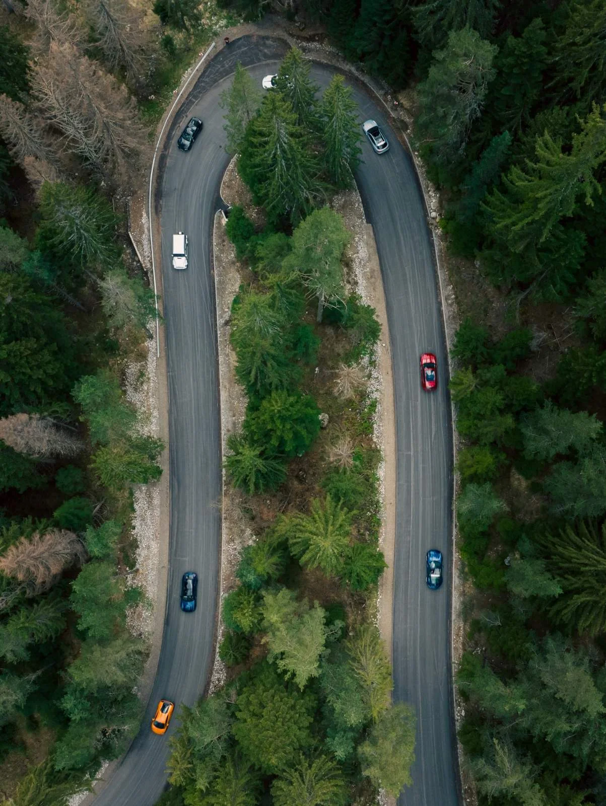 Aerial image of winding mountain road above Bansko with several sports cars driving through forested curves
