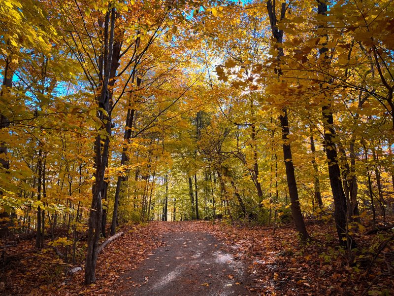 5 Must-Do Activities in Bansko During Autumn: Hidden Gems for Fall Traveler's